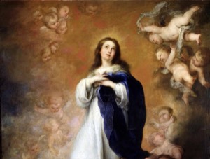 Confira a programação das Novenas à Imaculada Conceição de Maria nas paróquias de nossa província