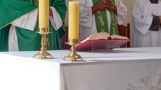 WhatsApp_Image_2026-02-19_at_08.44.44_2_original