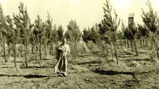 Dom_Agostinho_4a_original