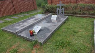 WhatsApp_Image_2026-03-20_at_15.50.16_3_original