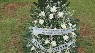 WhatsApp_Image_2026-03-20_at_15.50.17_2_original