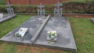 WhatsApp_Image_2026-03-20_at_15.50.17_original