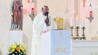 WhatsApp_Image_2026-03-20_at_17.33.12_2_original