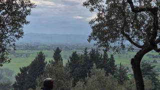 WhatsApp_Image_2026-04-09_at_10.02.47_original