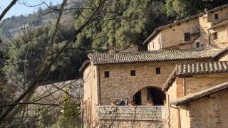 WhatsApp_Image_2026-04-09_at_10.02.53_original