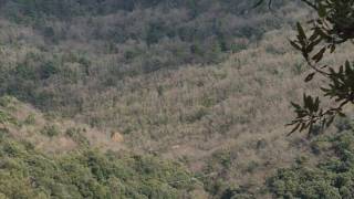 WhatsApp_Image_2026-04-09_at_10.02.54_1_original