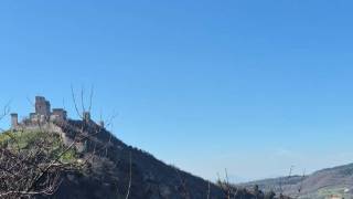 WhatsApp_Image_2026-04-09_at_10.03.01_1_original