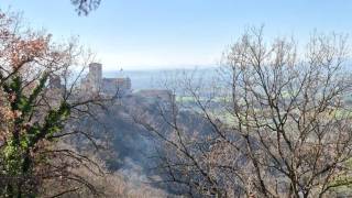 WhatsApp_Image_2026-04-09_at_10.03.01_2_original