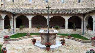 WhatsApp_Image_2026-04-09_at_10.03.03_2_original