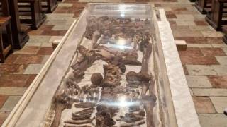 WhatsApp_Image_2026-04-09_at_10.04.23_1_original