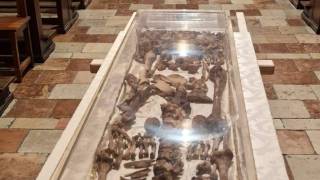 WhatsApp_Image_2026-04-09_at_10.04.23_original