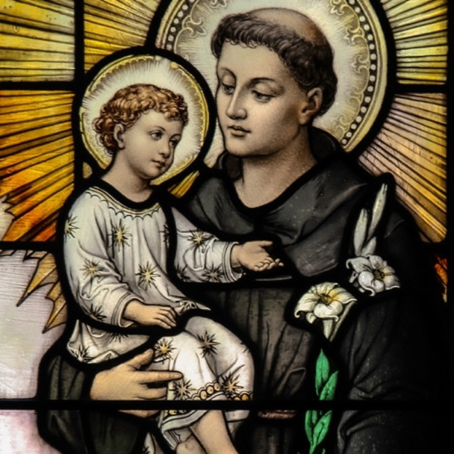 Franciscanos Província São Maximilliano Maria Kolbe Santo Antônio De Pádua