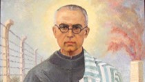 Carta por ocasião do 19º aniversário da ereção da Província São Maximiliano Maria Kolbe